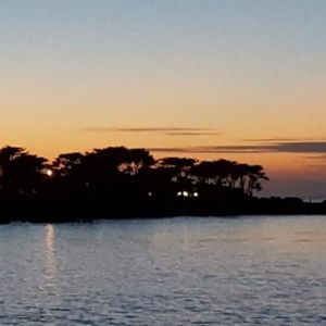 Meet your Posher, Liz